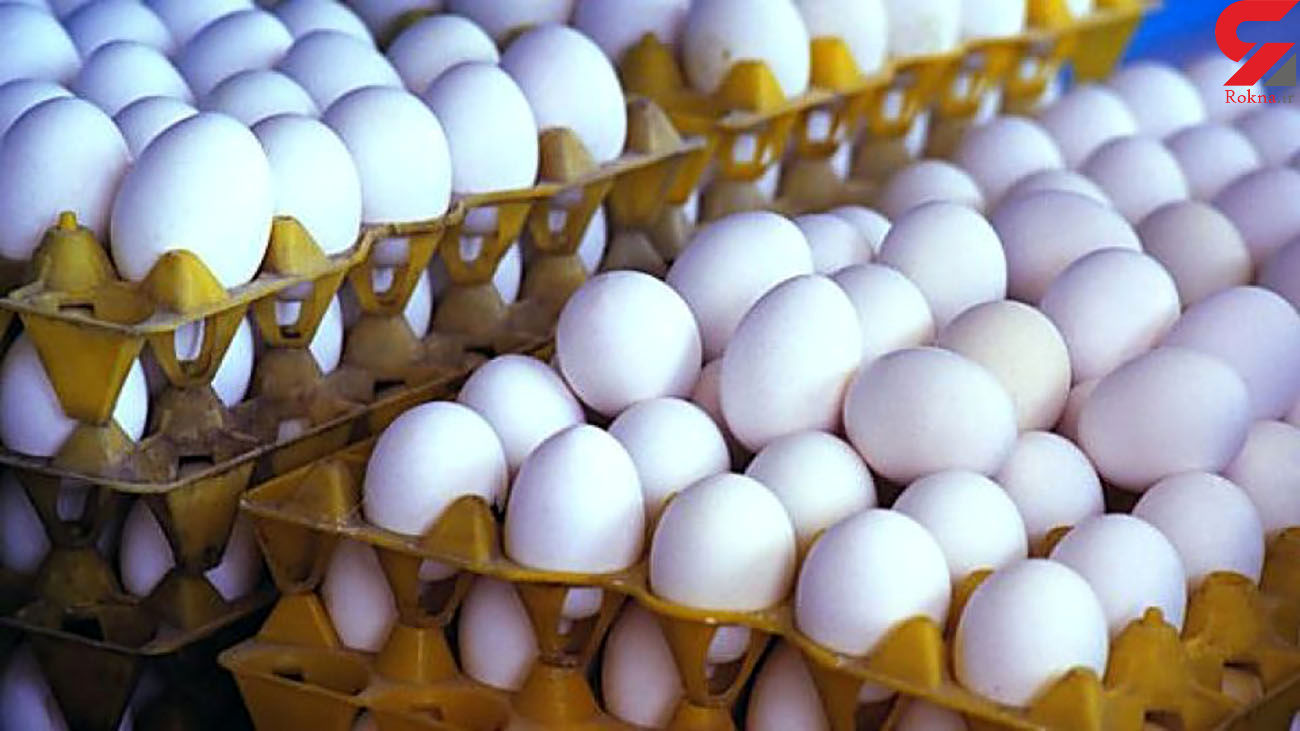 قیمت تخم مرغ 