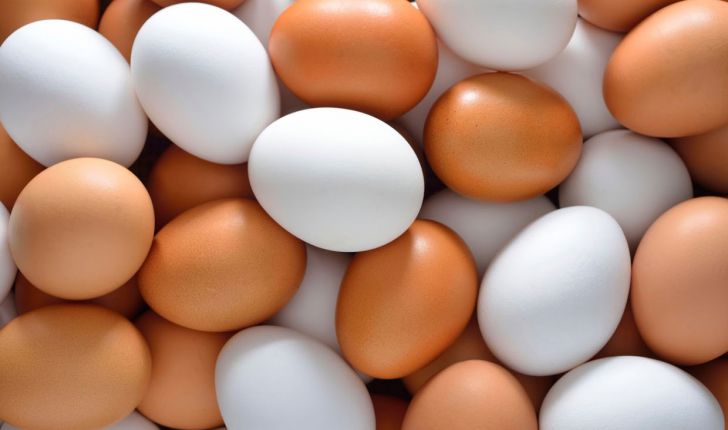 قیمت تخم مرغ  چهارشنبه 19 آذر ماه 
