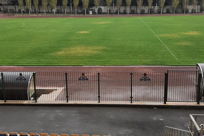 خیال یحیی گل محمدی و پرسپولیسی ها راحت شد