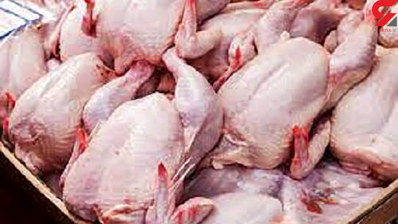 قیمت مرغ 