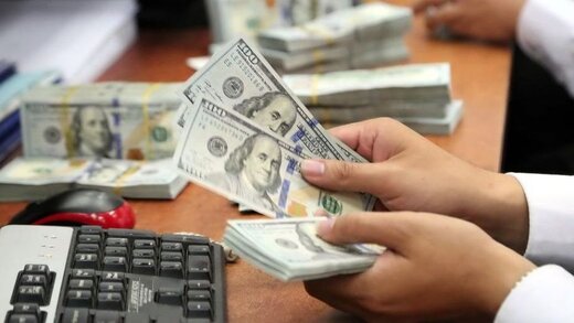 حذف ارز ۴۲۰۰ تومانی قیمت کدام کالاها را تحت تاثیر قرار می‌دهد؟
