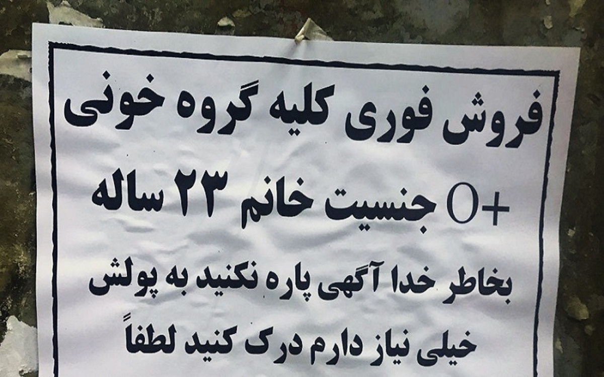 قیمت خرید و فروش کلیه در ایران