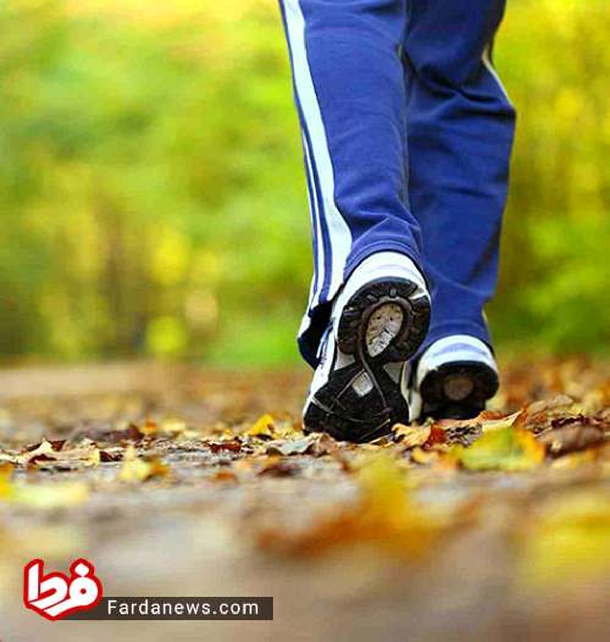 چرا باید روزانه پیاده روی تند داشته باشید؟