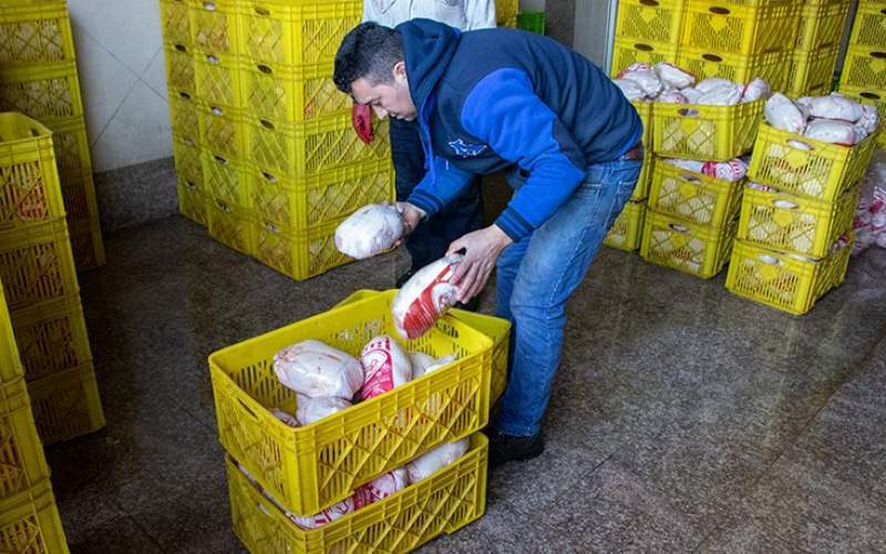 سناریوی گرانی مرغ از عید تا رمضان سناریوی گرانی مرغ از عید تا رمضان