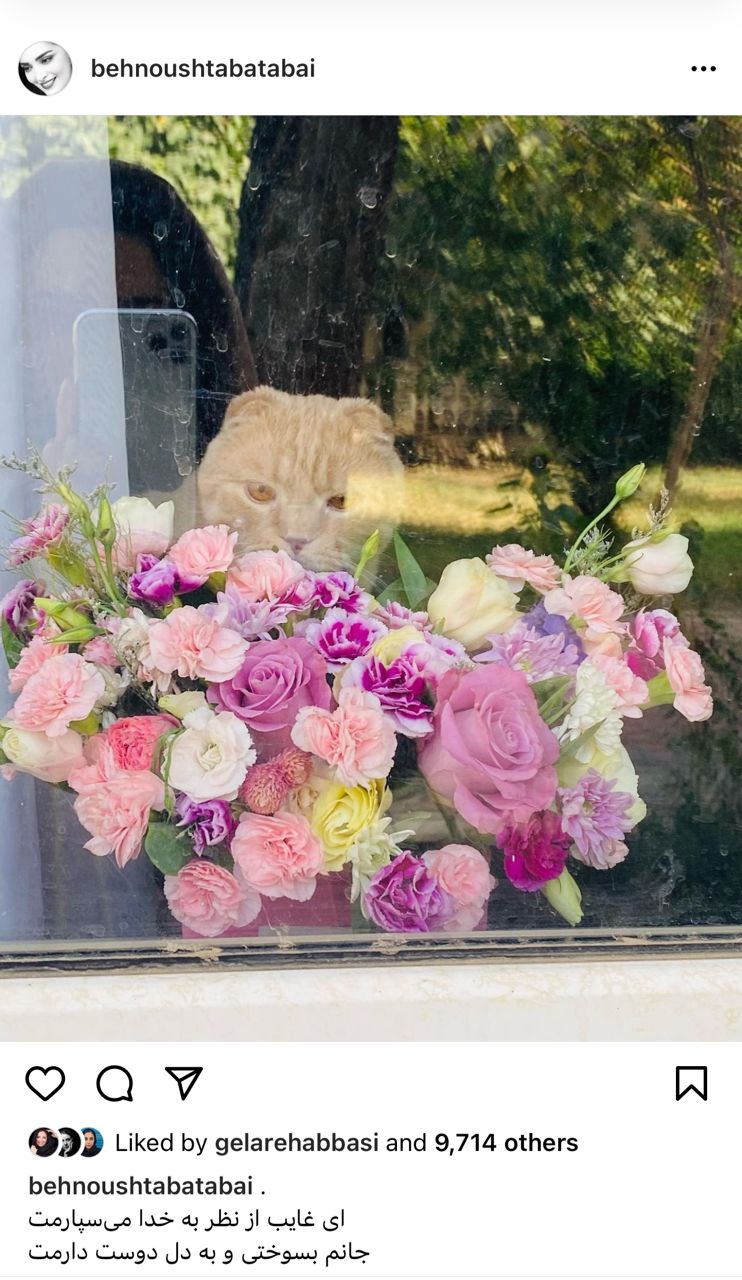 عکس جنجالی از ازدواج دوم بهنوش طباطبایی بعد طلاق آقای بازیگر