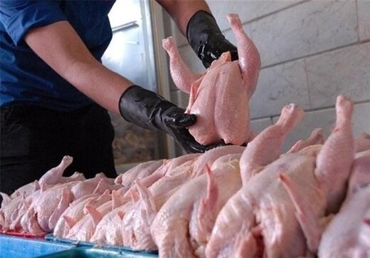 قیمت انواع مرغ در بازار روز/ فیله مرغ یک میلیونی شد!