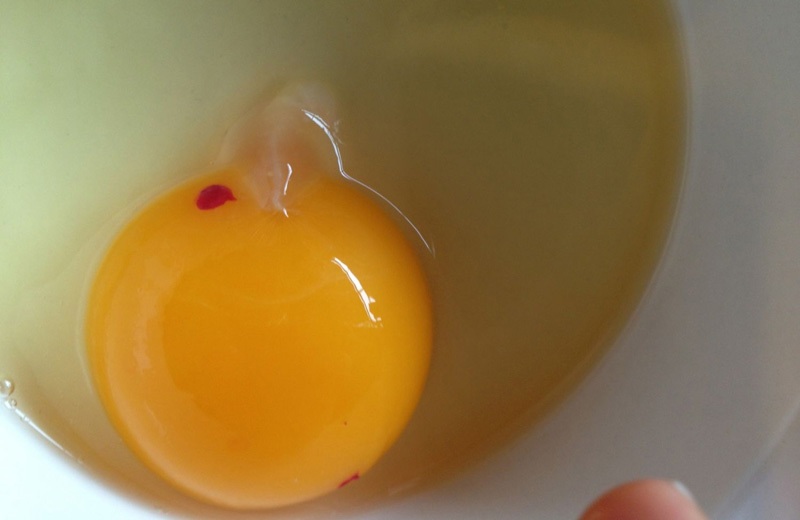 وجود لکه‌های خون در تخم‌ مرغ نشانه چیست؟