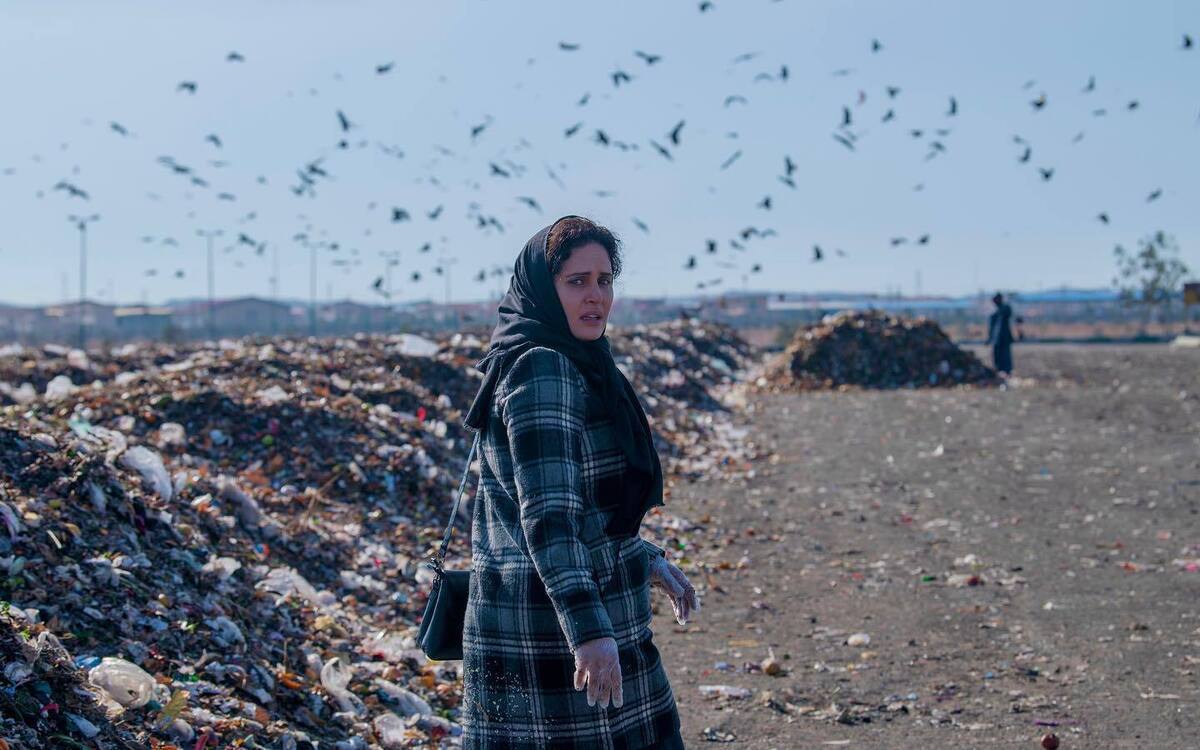 پای الناز شاکردوست به پرونده آرمان و غزاله باز شد؛ شانسی برای سیمرغ نیست! پای الناز شاکردوست به پرونده آرمان و غزاله باز شد؛ شانسی برای سیمرغ نیست!