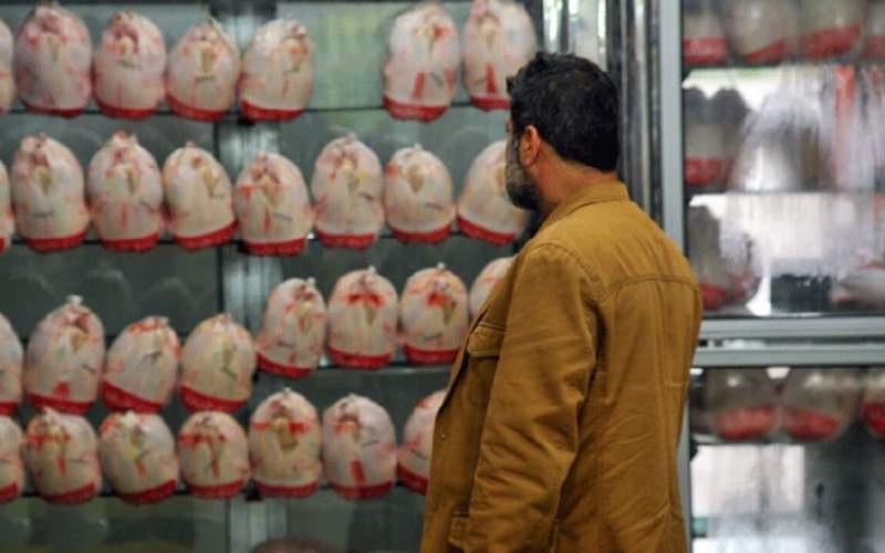مرغ ۷۳ هزار تومانی را کی دیده کی خریده! مرغ ۷۳ هزار تومانی را کی دیده کی خریده!