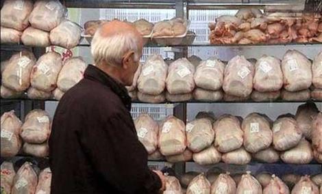 : مرغ ۱۰۰‌هزار تومان شد/ مدیریت ضعیف دولت ، هم صدای مصرف کننده را در آورده، هم صدای تولیدکننده را