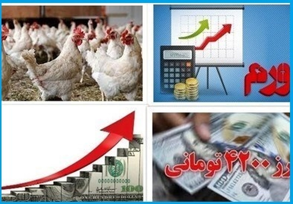 دلیل مرغ ۱۰۰ هزار تومانی چیست؟