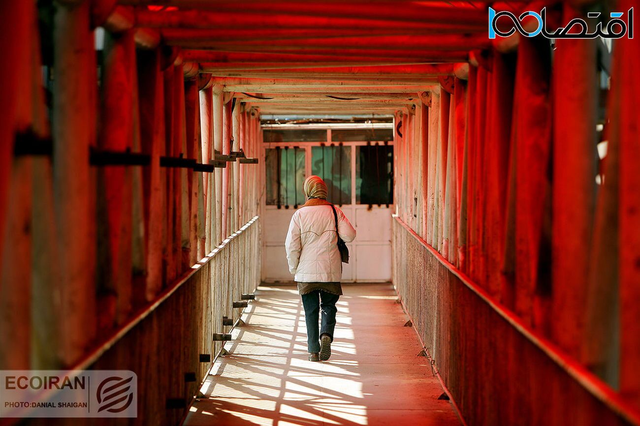 نرخ بیکاری مردان و زنان جوان در بهار ۱۴۰۲/ زنان 15 تا 24 سال در قله بیکاری گروه‌های سنی
