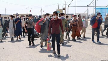یک پنجم جمعیت افغانستان در ایران؛ روزی ۱۰ هزار افغانستانی وارد کشور می‌شوند/ چطور دو روزه صاحب شغل و جای خواب می‌شوند؟