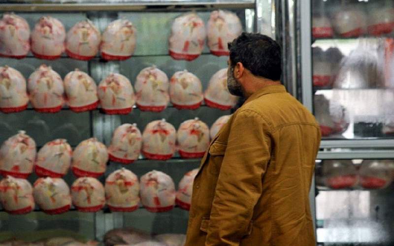 طنز خرید مرغ ۳۰۰ هزار تومانی با حقوق کارگری طنز خرید مرغ ۳۰۰ هزار تومانی با حقوق کارگری