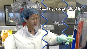 آیا کرونای جدید در راه است؟ اینبار پای خفاش وسط است (فیلم) آیا کرونای جدید در راه است؟ اینبار پای خفاش وسط است (فیلم)