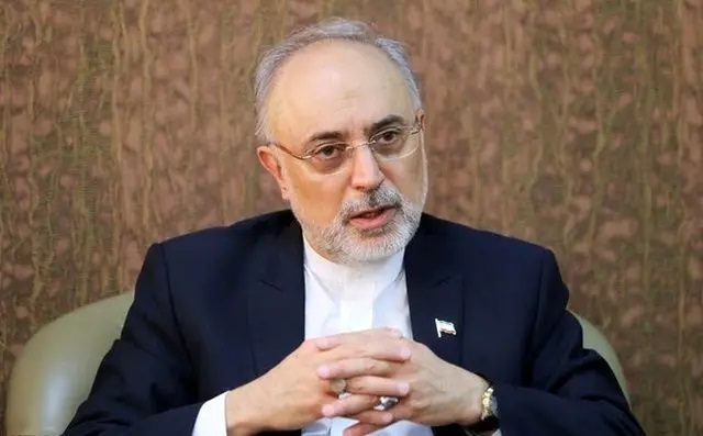 پیام مهم دکتر علی اکبر صالحی به مردم: حیف است که این فرصت طلایی تعیین سر نوشت و ساخت آینده بهتر برای کشورمان را از دست بدهیم / . فرصت ها همانند ابر می گذرند و پشیمانی سودی ندارد /  اگر شما زمینه تحقق اینده تابناک را فراهم نکنید دیگران آینده ای ناخواسته را تحمیل خواهند کرد 