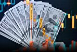جدول قیمت دلار در بازار آزاد سه‌شنبه ۱۴ مرداد ۱۴۰۴