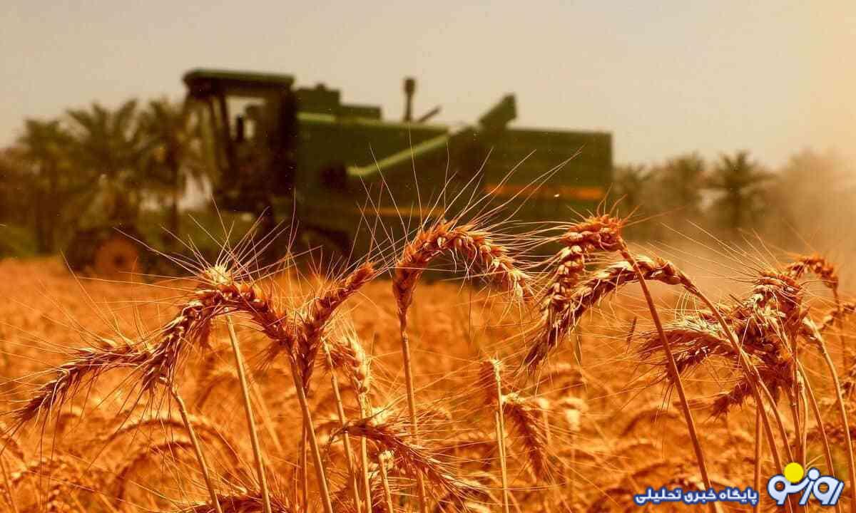 گندمکاران حساب خود را چک کنید!