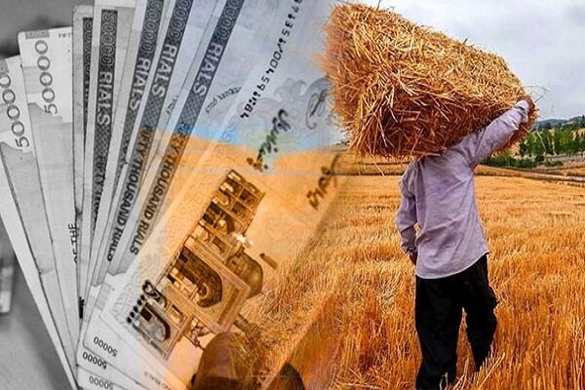 مطالبات گندمکاران با دلار پرداخت می‌شود؟