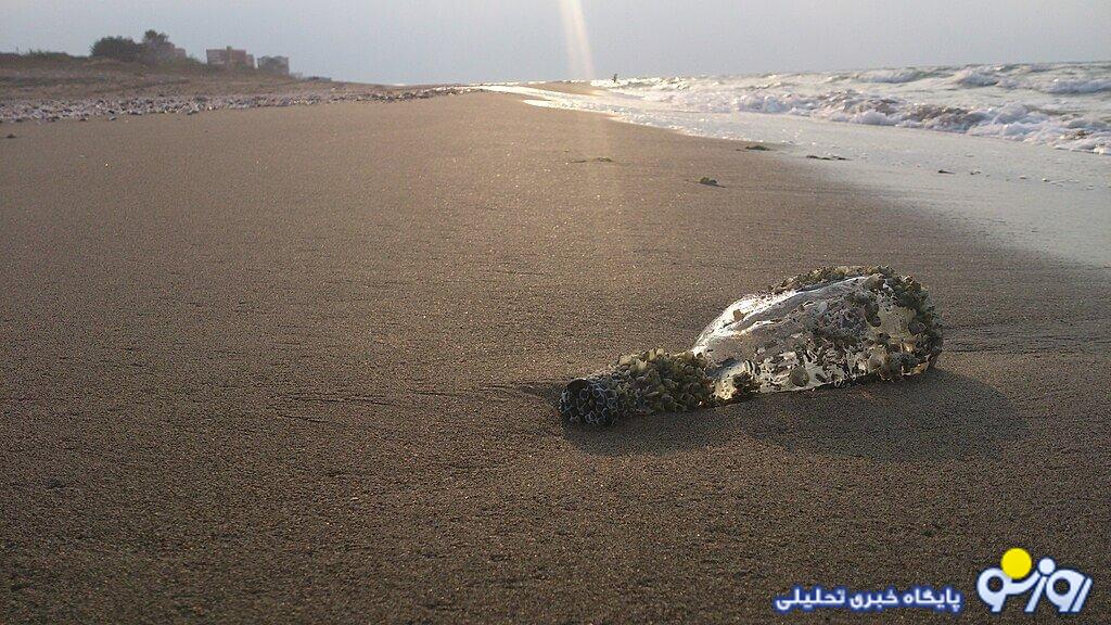 خزر هم به عاقبت دریاچه ارومیه دچار خواهد شد! خزر هم به عاقبت دریاچه ارومیه دچار خواهد شد!