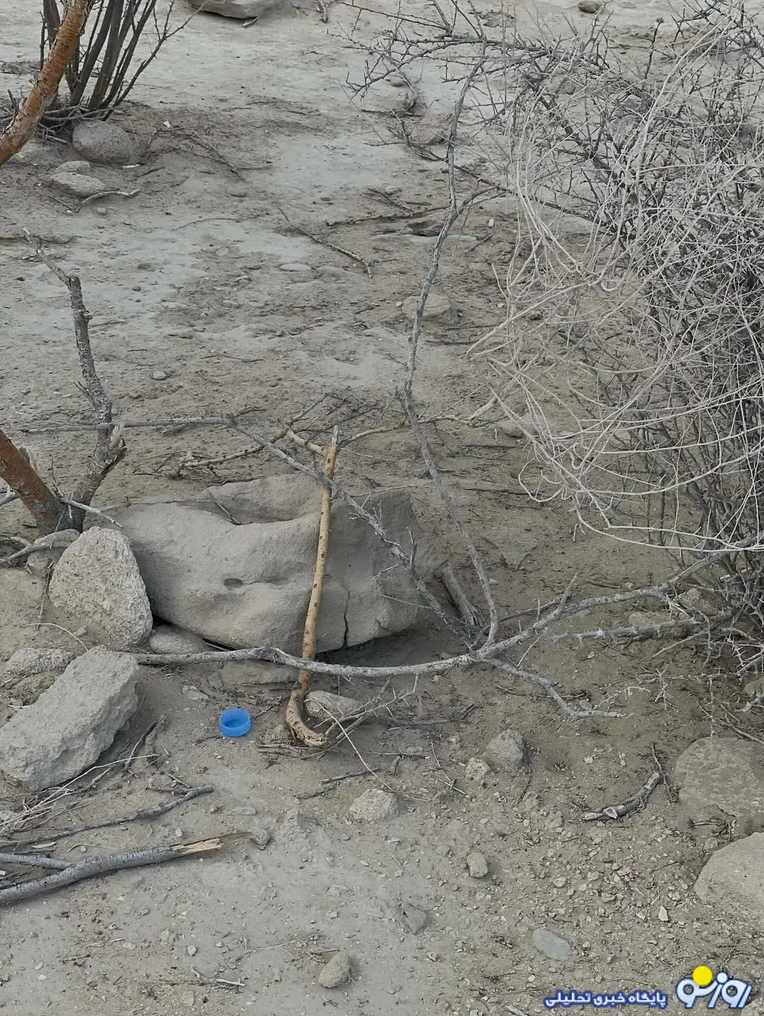 بازیگر خانم با پیام نحیط زیستی!