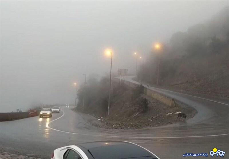 تردد روان در محورهای شمالی تردد روان در محورهای شمالی