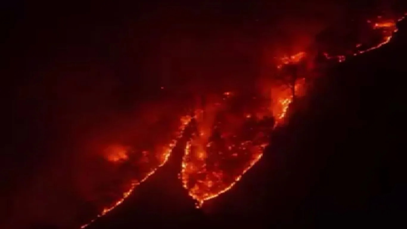 ادامه حریق در جنگل های هیرکانی پس از ۲۰ روز؛ پنج بالگرد و یک فروند هواپیمای ایلیوشین به منطقه اعزام شد / مدیر کل بحران گیلان: طی روزهای آینده عدم بارش، افزایش دما و وزش باد گرم احتمال گسترش آتشسوزی را افزایش میدهد / انتقال چهار مصدوم حادثه آتشسوزی به مراکز درمانی با بالگرد ادامه حریق در جنگل های هیرکانی پس از ۲۰ روز؛ پنج بالگرد و یک فروند هواپیمای ایلیوشین به منطقه اعزام شد / مدیر کل بحران گیلان: طی روزهای آینده عدم بارش، افزایش دما و وزش باد گرم احتمال گسترش آتشسوزی را افزایش میدهد / انتقال چهار مصدوم حادثه آتشسوزی به مراکز درمانی با بالگرد