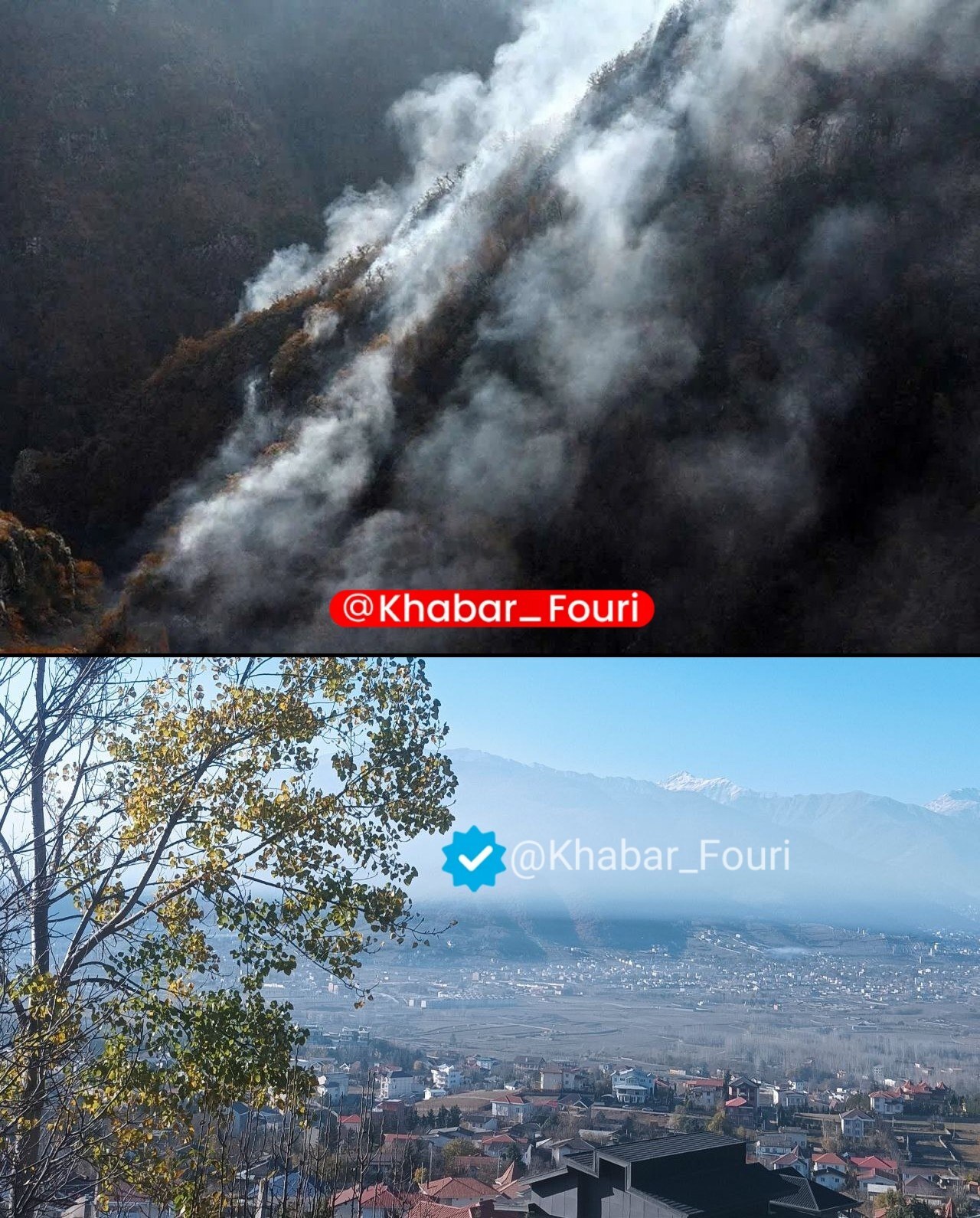 فاجعه آتش هیرکانی به کلاردشت رسید فاجعه آتش هیرکانی به کلاردشت رسید