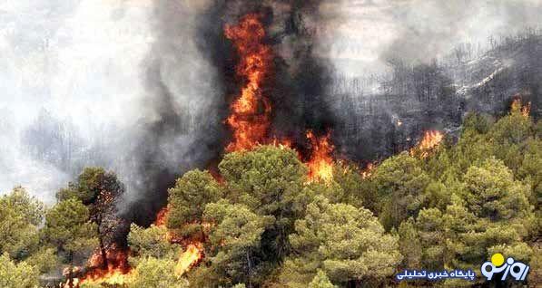 دود اختلافات در پایتخت و دود جنگل‌های سوخته در شمال کشور را بهم ریخته است!