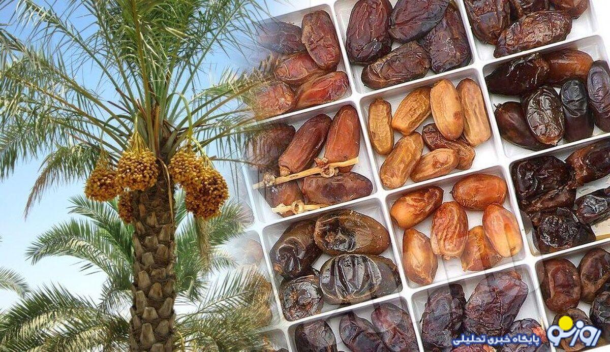 دیگه از خرما انتظار نداشتیم با این قیمت‌ها بشینه پشت ویترین!