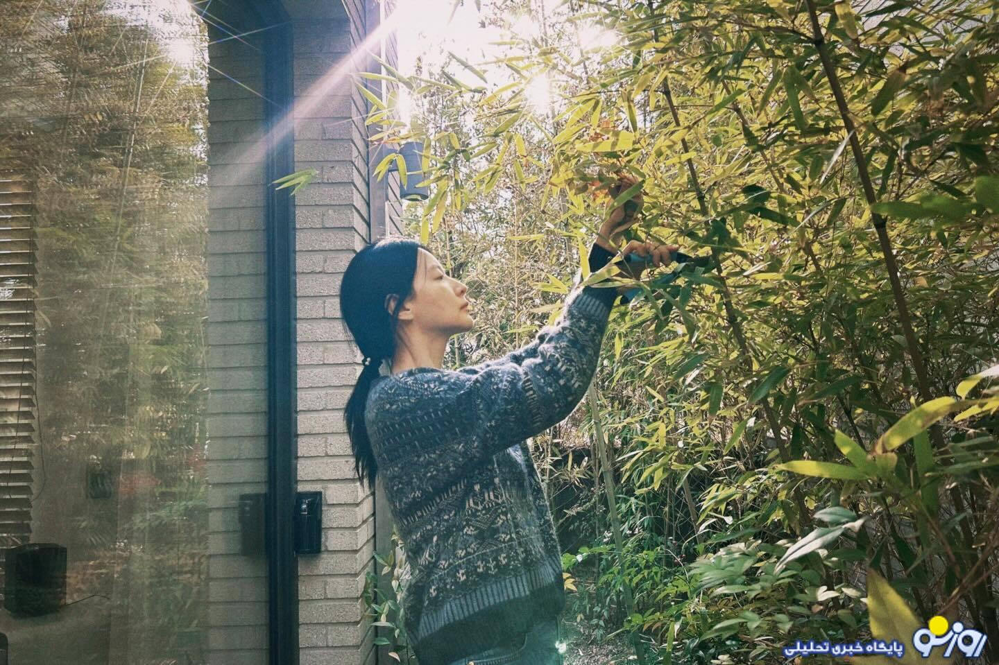 آمادگی یانگوم برای کریسمس!