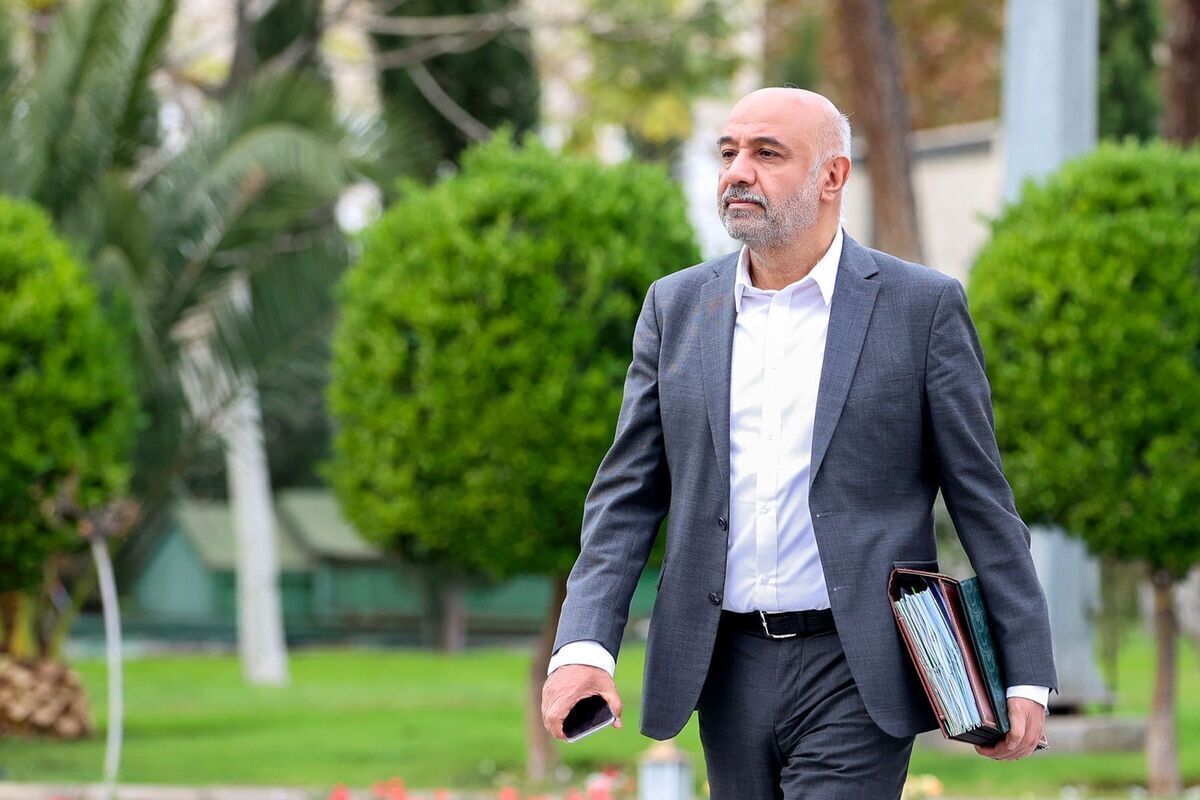 تغییر در سازوکار حذف یارانهها؛ احتمال واگذاری حذف پردرآمدها به سازمان مالیاتی احمد میدری