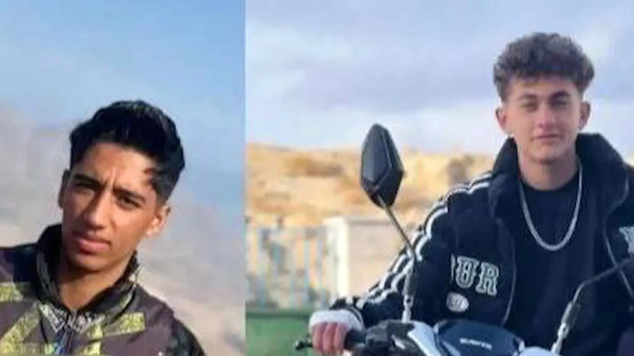 هواداران تراکتور