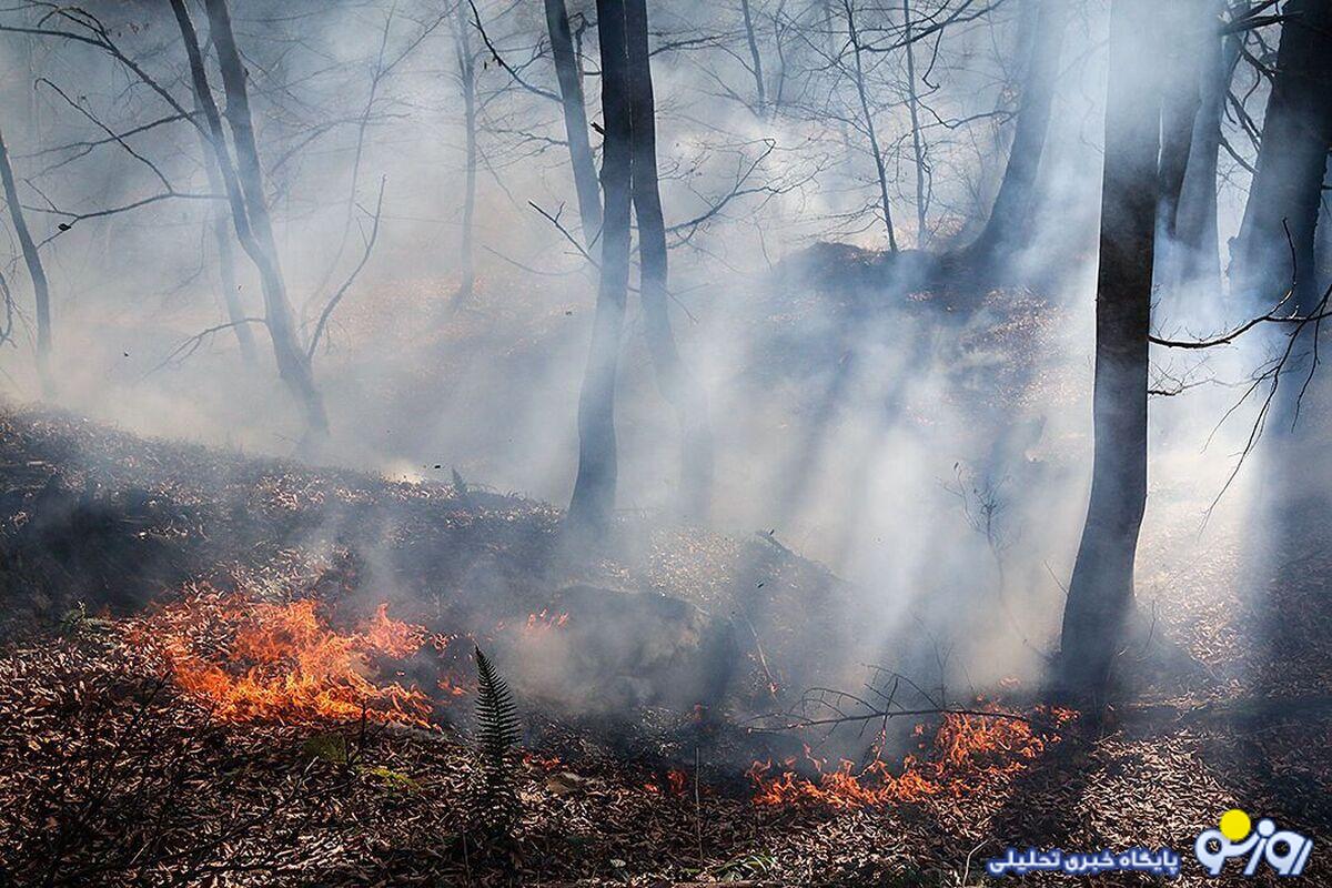 مدیریت بحران: احتمال شعله‌ور شدن مجدد آتش در جنگل‌های هیرکانی وجود دارد